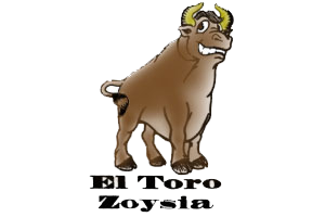 el toro logo